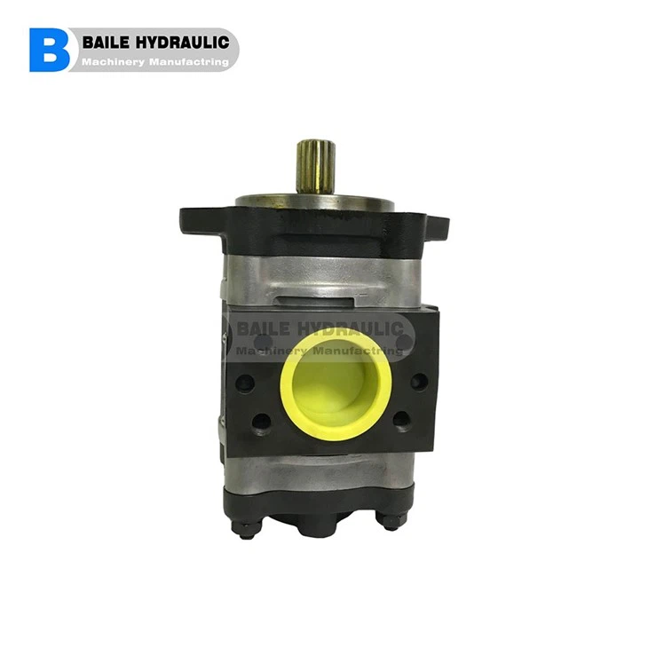 VOITH High-pressure Internal Gear Pumps IPV3-3.5 IPV3-5 IPV3-6.3 IPV3-8 IPV3-10 IPV4-13 IPV4-16 IPV4-20 IPV4-25 IPV4-32 IPV5-32 IPV5-40 IPV5-50 IPV5-64 IPV6-64 IPV6-80 IPV6-100 IPV6-125 IPV7-125 IPV7-160 IPV7-200 IPV7-250